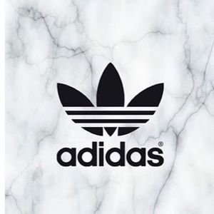 Meet your Posher, Rose